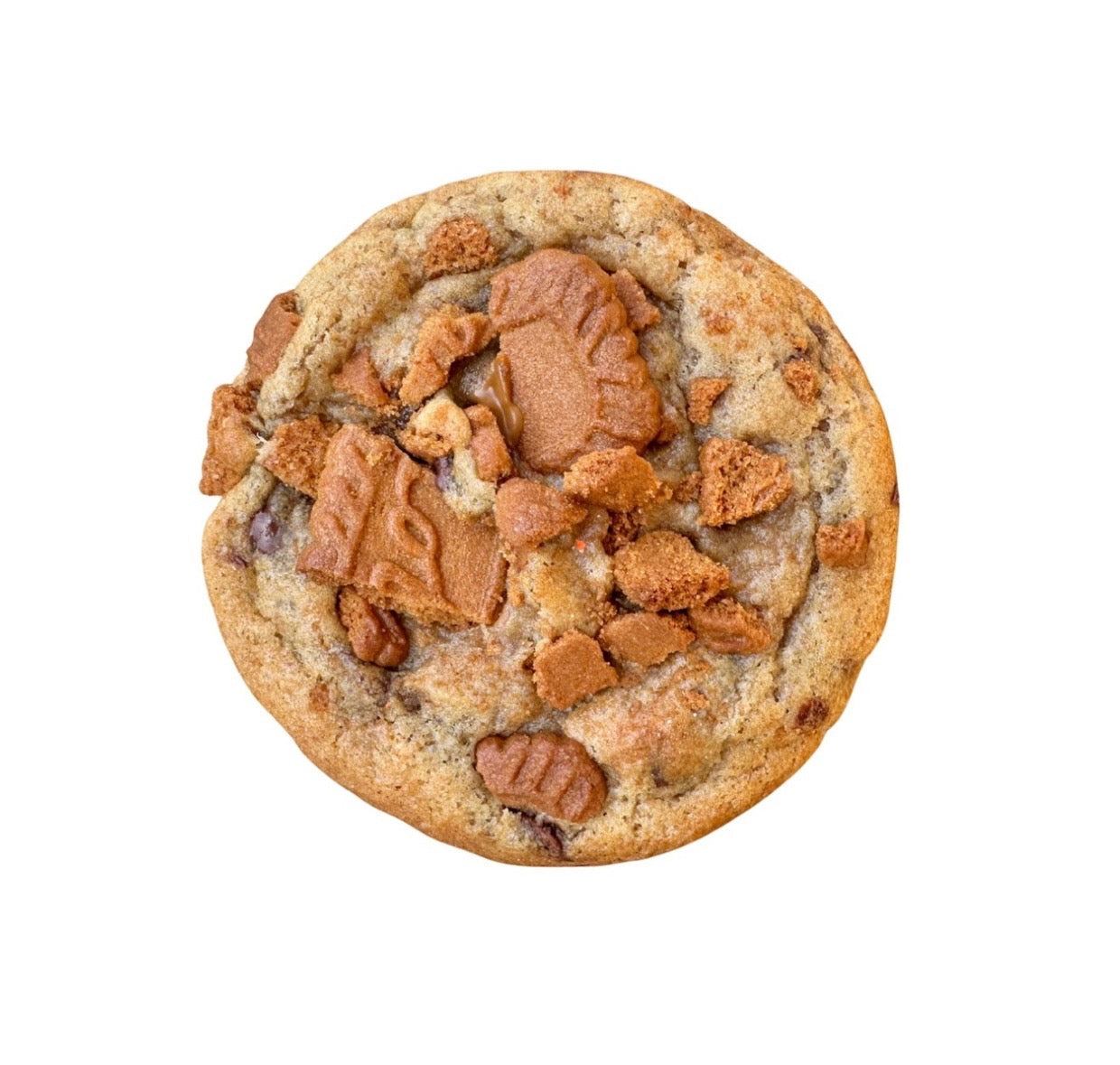 1 dozen Gourmet cookies (LARGE)